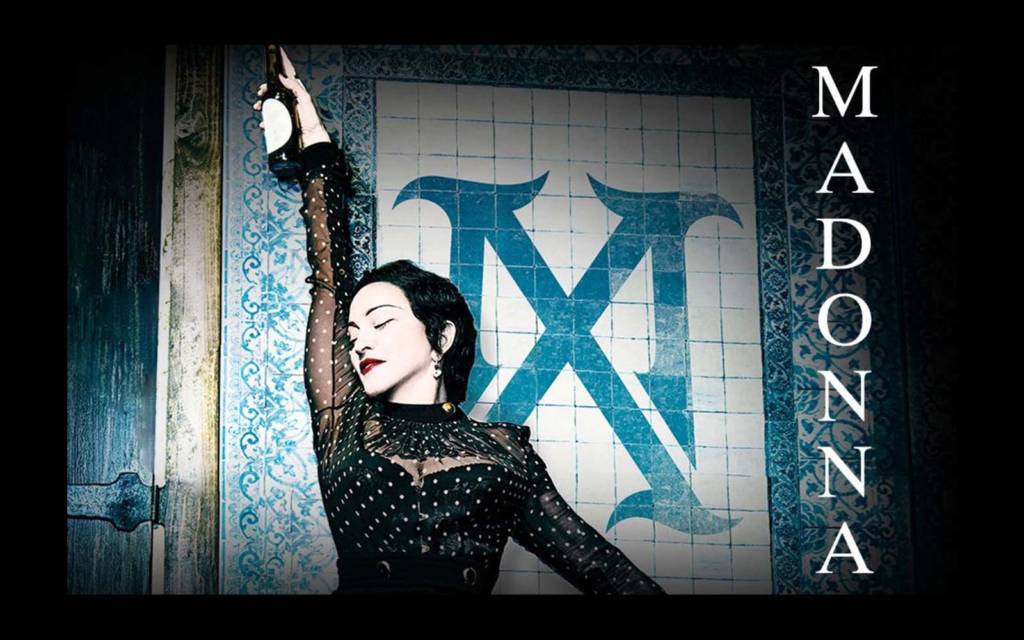 Madonna マドンナ ジャパン・ツアー ギターピック Madonna マドンナ ジャパン・ツアー ギターピック